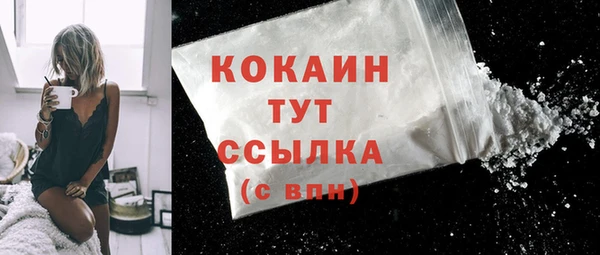 гидра Абаза