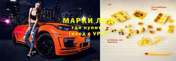гидра Абаза