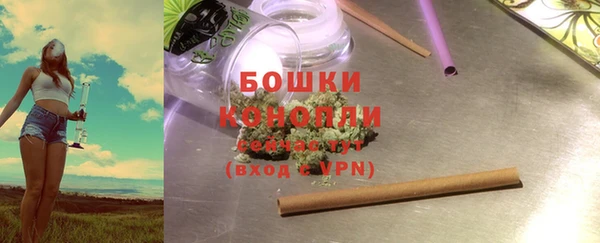 гидра Абаза