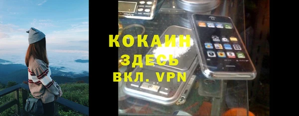 гидра Абаза