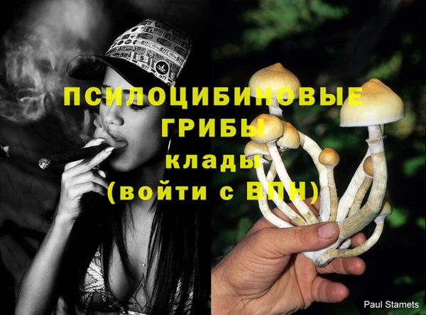 прущая мука Абинск