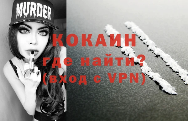 гидра Абаза