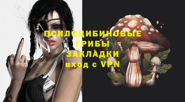 дмт Гусиноозёрск