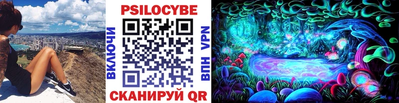 Псилоцибиновые грибы Psilocybe  Каменск-Шахтинский 