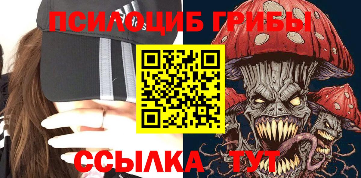 как найти закладки  Псилоцибиновые грибы прущие грибы  Вход с VPN  Каменск-Шахтинский 