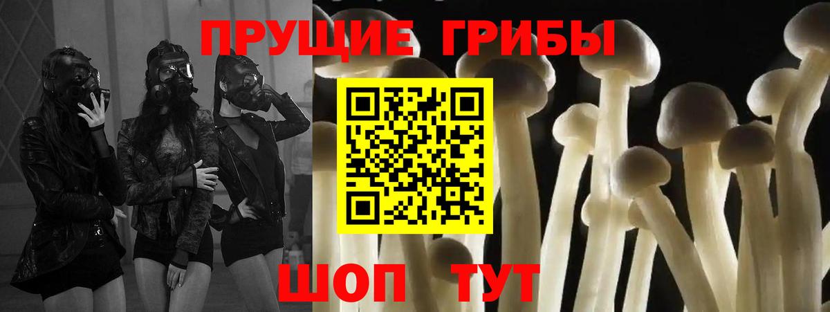 Галлюциногенные грибы Psilocybine cubensis Каменск-Шахтинский