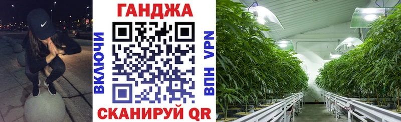 Каннабис планчик  Каменск-Шахтинский 